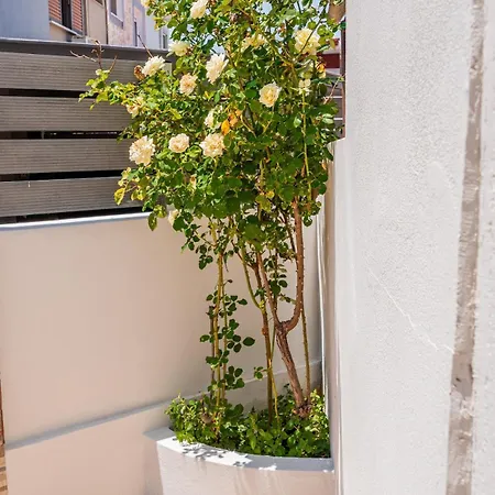 Semesterbostad Helios House